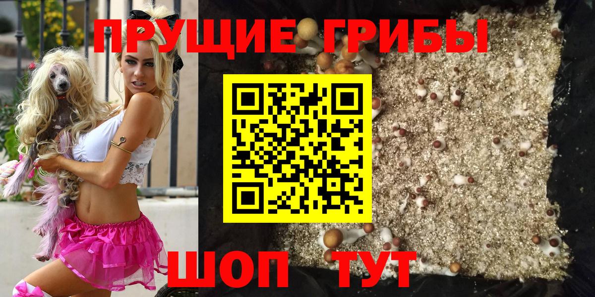 Псилоцибиновые грибы GOLDEN TEACHER  цены наркотик  Златоуст  Вход с VPN 